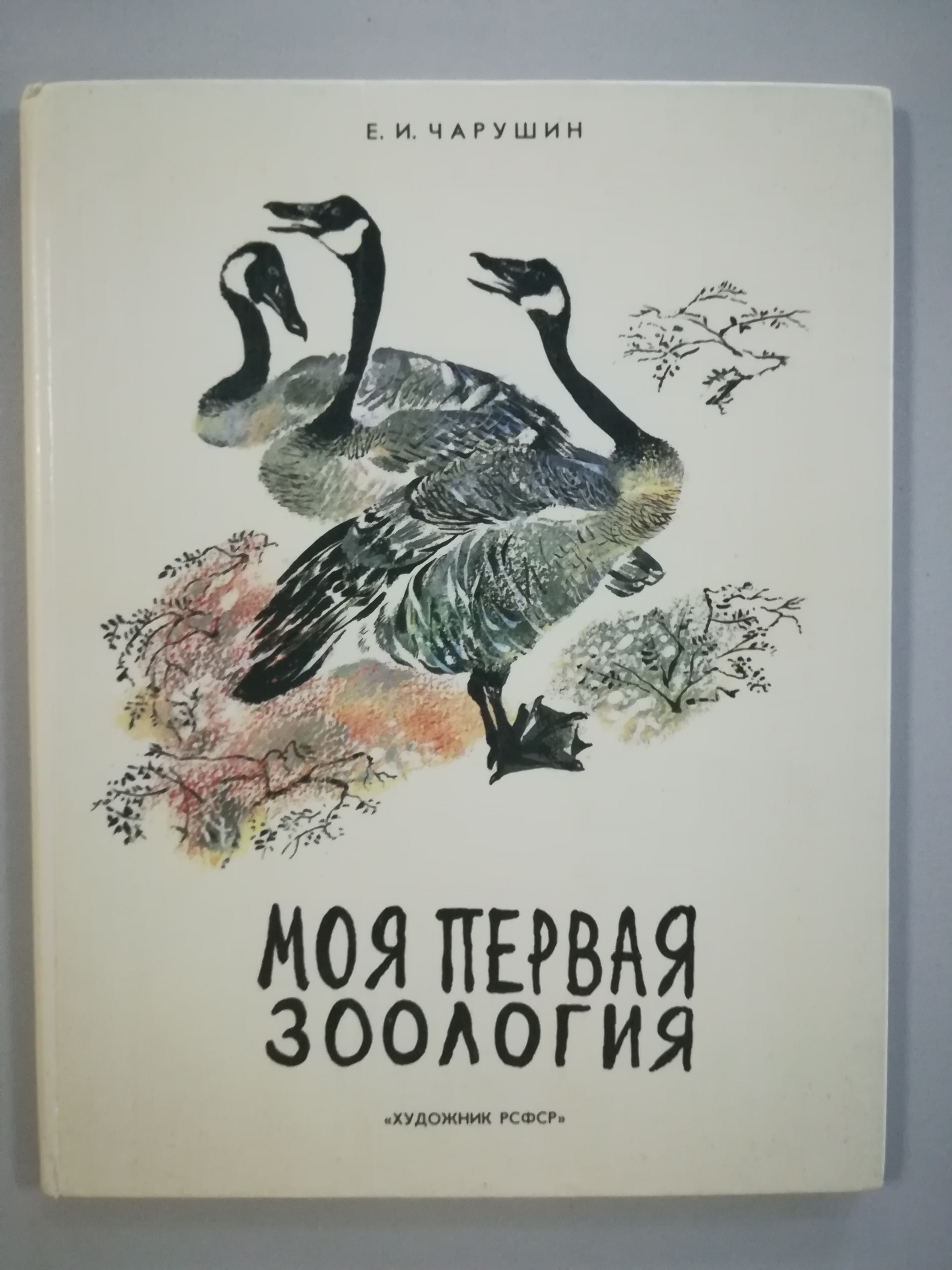 Моя первая зоология книга о птицах. Книга моя первая Зоология Чарушин. Чарушин моя первая Зоология.